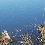Ria Formosa Pineview * Faro
