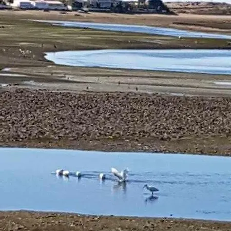 Ria Formosa Pineview Dom wakacyjny *