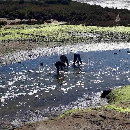 Ria Formosa Pineview Faro