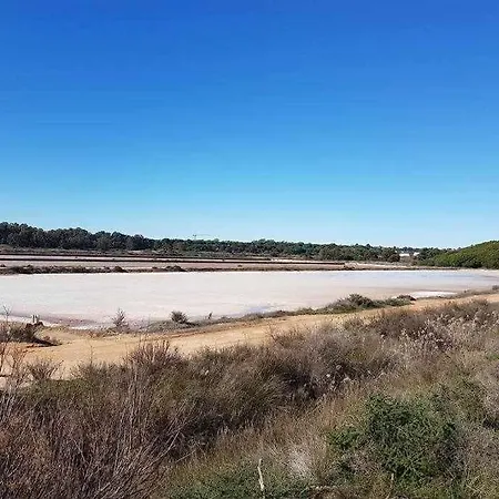 Ria Formosa Pineview Holiday home *