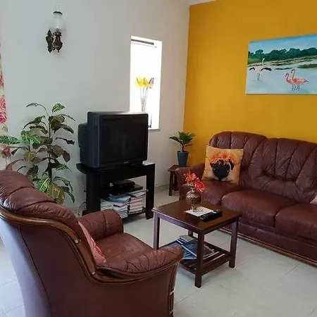 Ria Formosa Pineview *