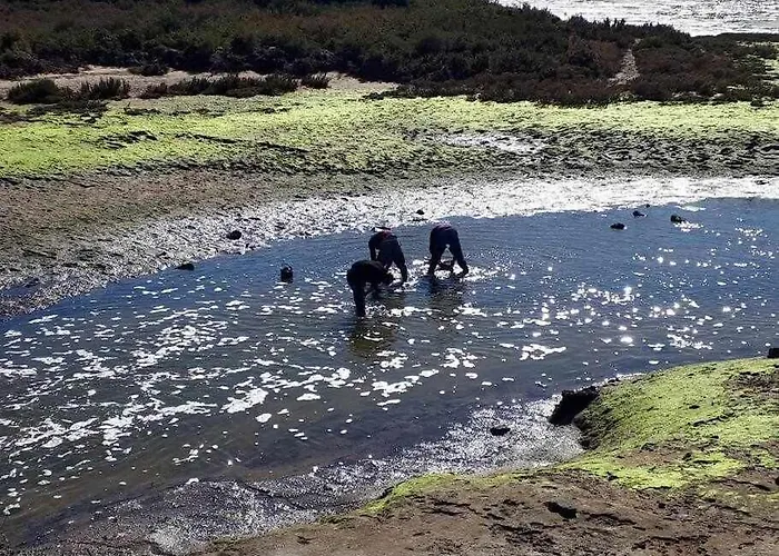 Ria Formosa Pineview 法鲁区