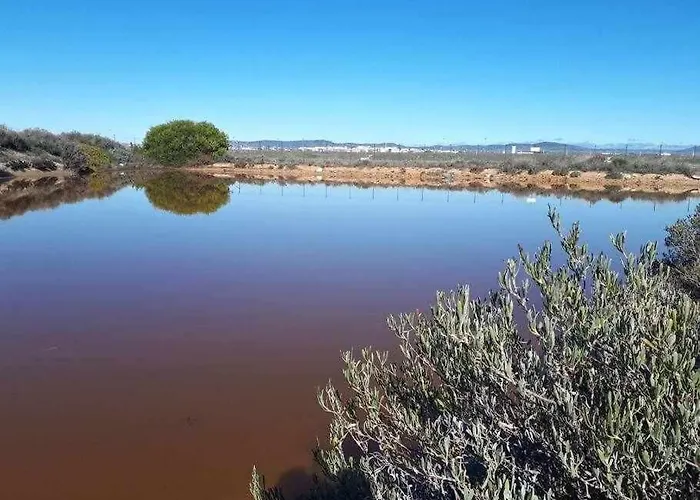 Дом отдыха Ria Formosa Pineview *