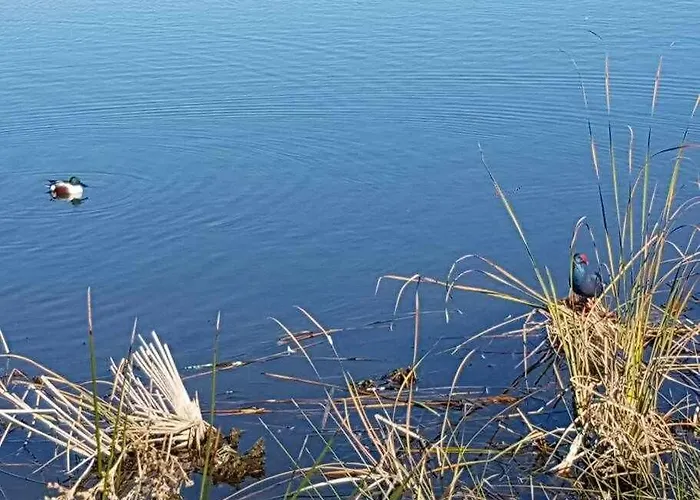 Ria Formosa Pineview * Фару